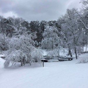 Meet your Posher, Rita